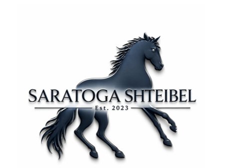 Saratoga Shteibel